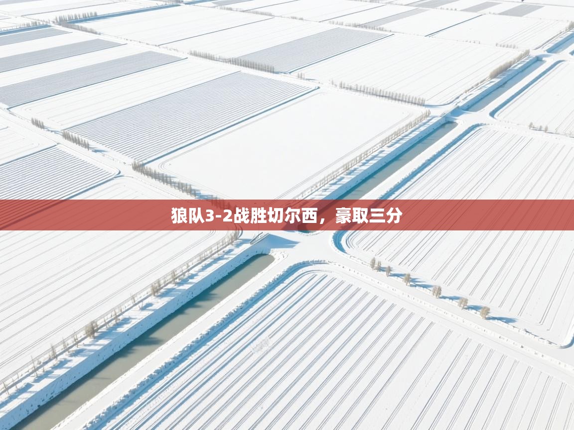 开云体育忘记密码找回-狼队3-2战胜切尔西，豪取三分  第1张