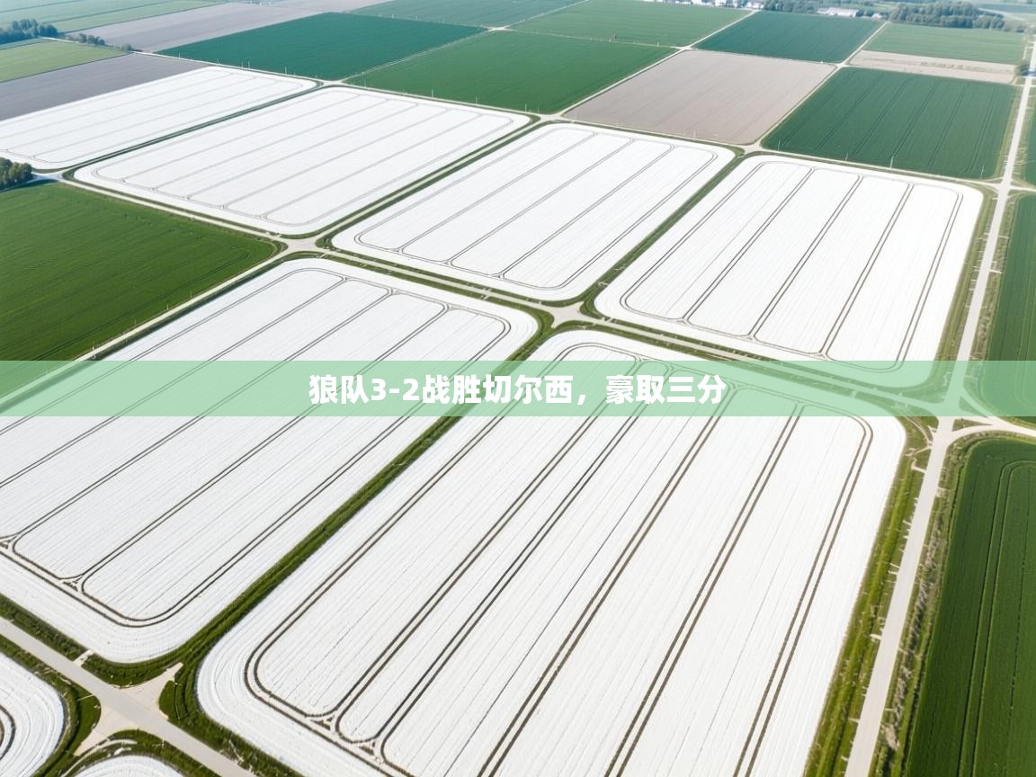 开云体育忘记密码找回-狼队3-2战胜切尔西，豪取三分  第4张