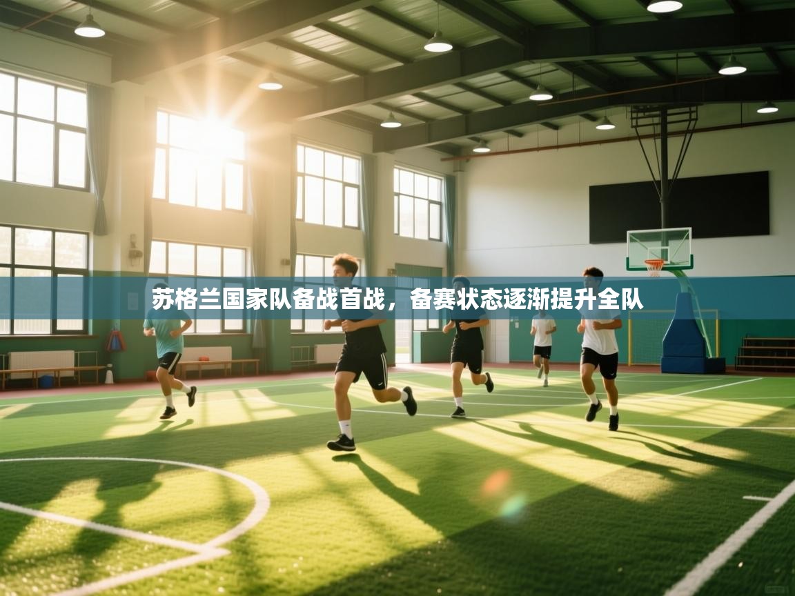 开云赛事直播-苏格兰国家队备战首战，备赛状态逐渐提升全队  第2张