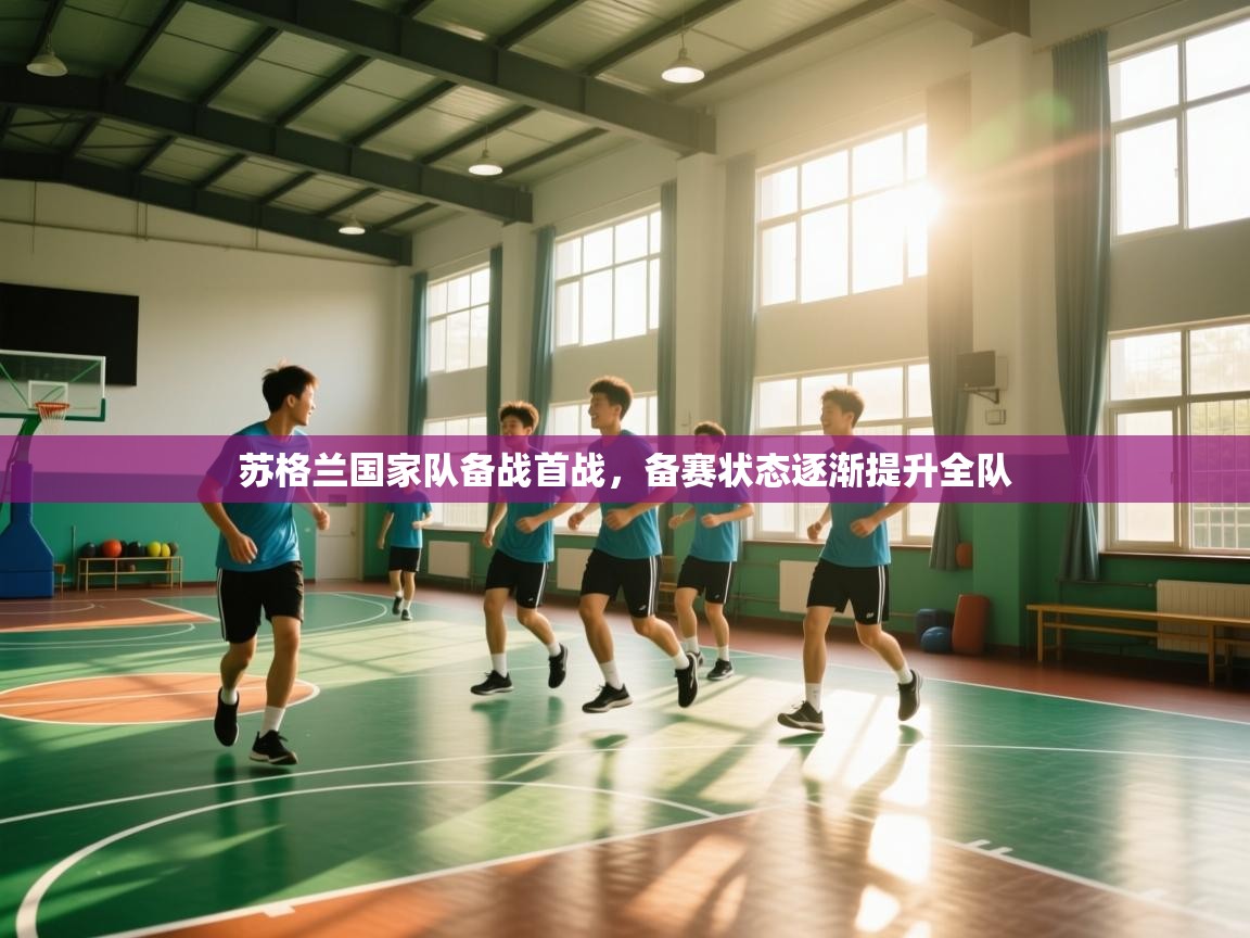 开云赛事直播-苏格兰国家队备战首战，备赛状态逐渐提升全队  第3张