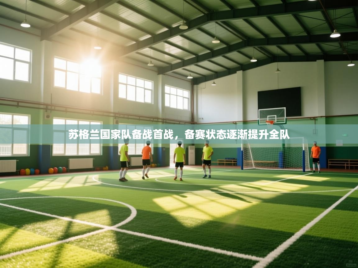 开云赛事直播-苏格兰国家队备战首战，备赛状态逐渐提升全队  第4张