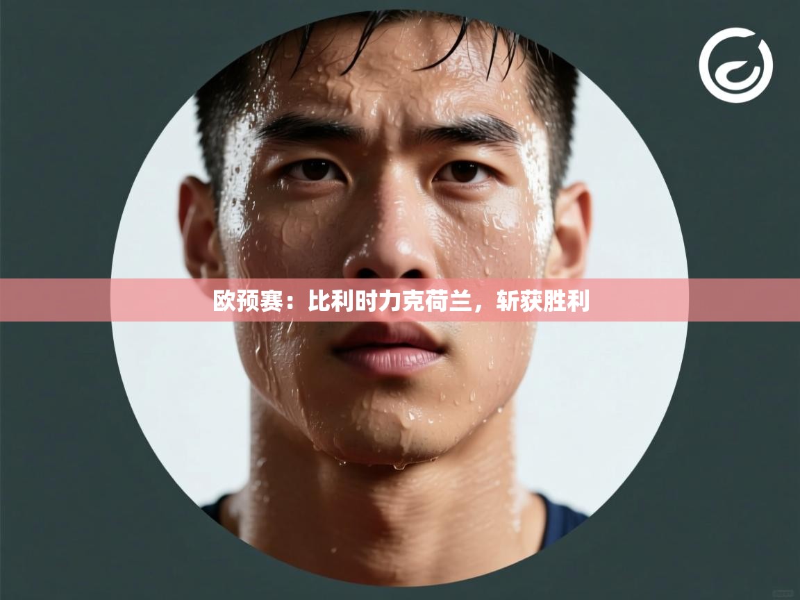 开云体育入口手机版-欧预赛：比利时力克荷兰，斩获胜利  第3张