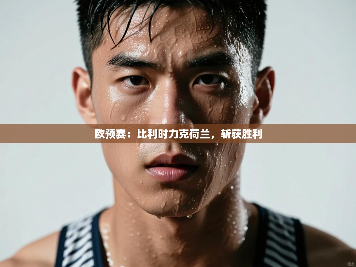 开云体育入口手机版-欧预赛：比利时力克荷兰，斩获胜利  第4张