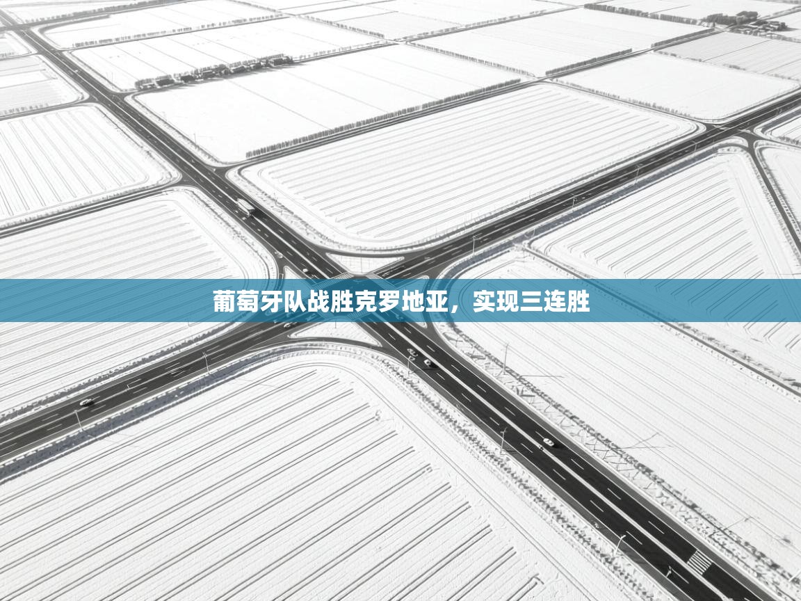 开云体育iOS安装教程-葡萄牙队战胜克罗地亚，实现三连胜  第2张