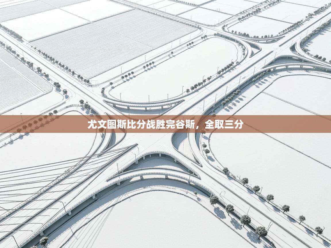 开云网页版-尤文图斯比分战胜完谷斯,全取三分 第2张