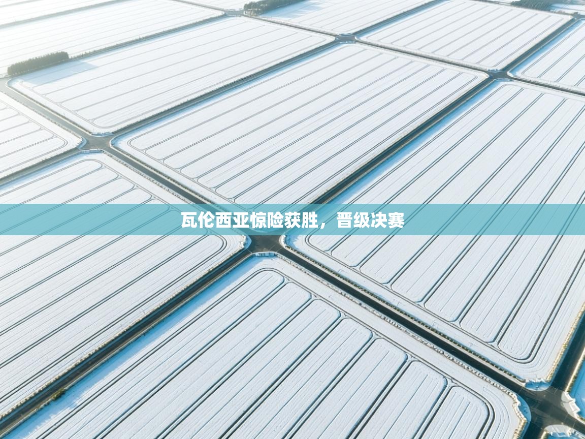 开云体育app官网下载地址-瓦伦西亚惊险获胜，晋级决赛