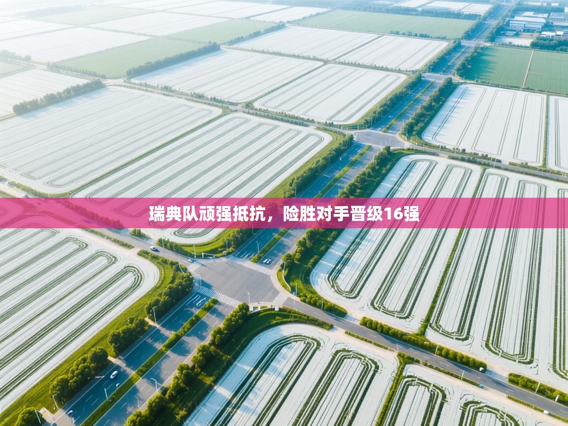 开云体育app官网入口网页版-瑞典队顽强抵抗，险胜对手晋级16强  第1张