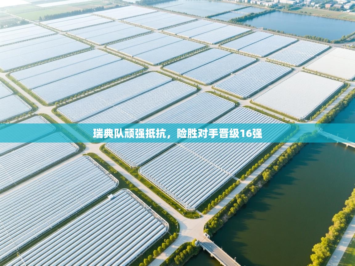 开云体育app官网入口网页版-瑞典队顽强抵抗，险胜对手晋级16强  第2张