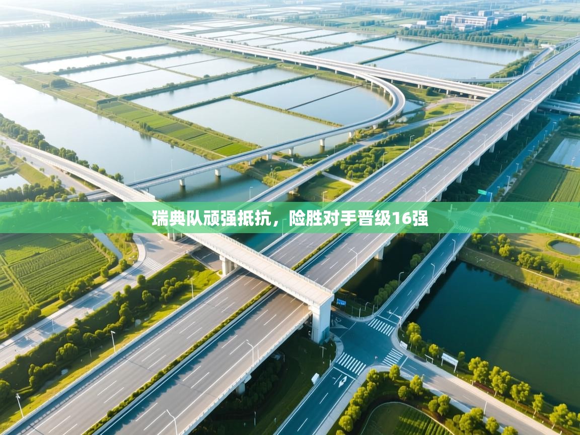 开云体育app官网入口网页版-瑞典队顽强抵抗，险胜对手晋级16强  第4张