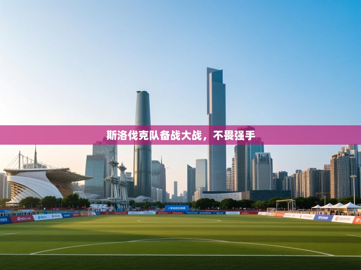 开云体育PC版网页版登录-斯洛伐克队备战大战，不畏强手  第1张