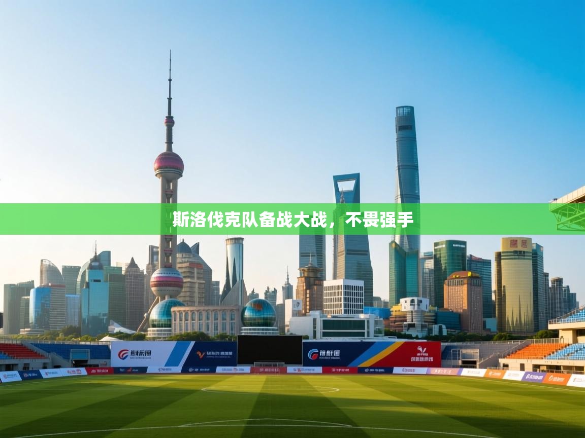 开云体育PC版网页版登录-斯洛伐克队备战大战，不畏强手  第3张