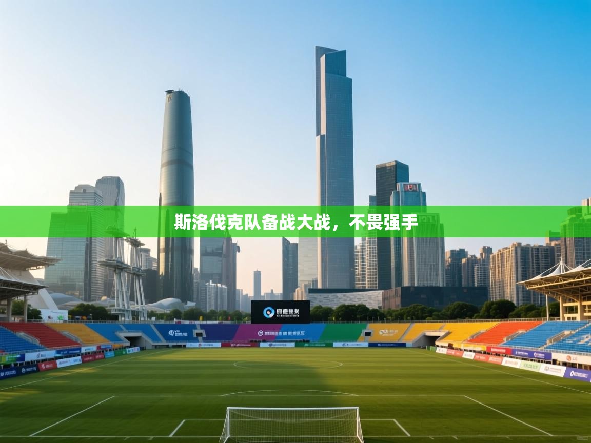 开云体育PC版网页版登录-斯洛伐克队备战大战，不畏强手  第4张