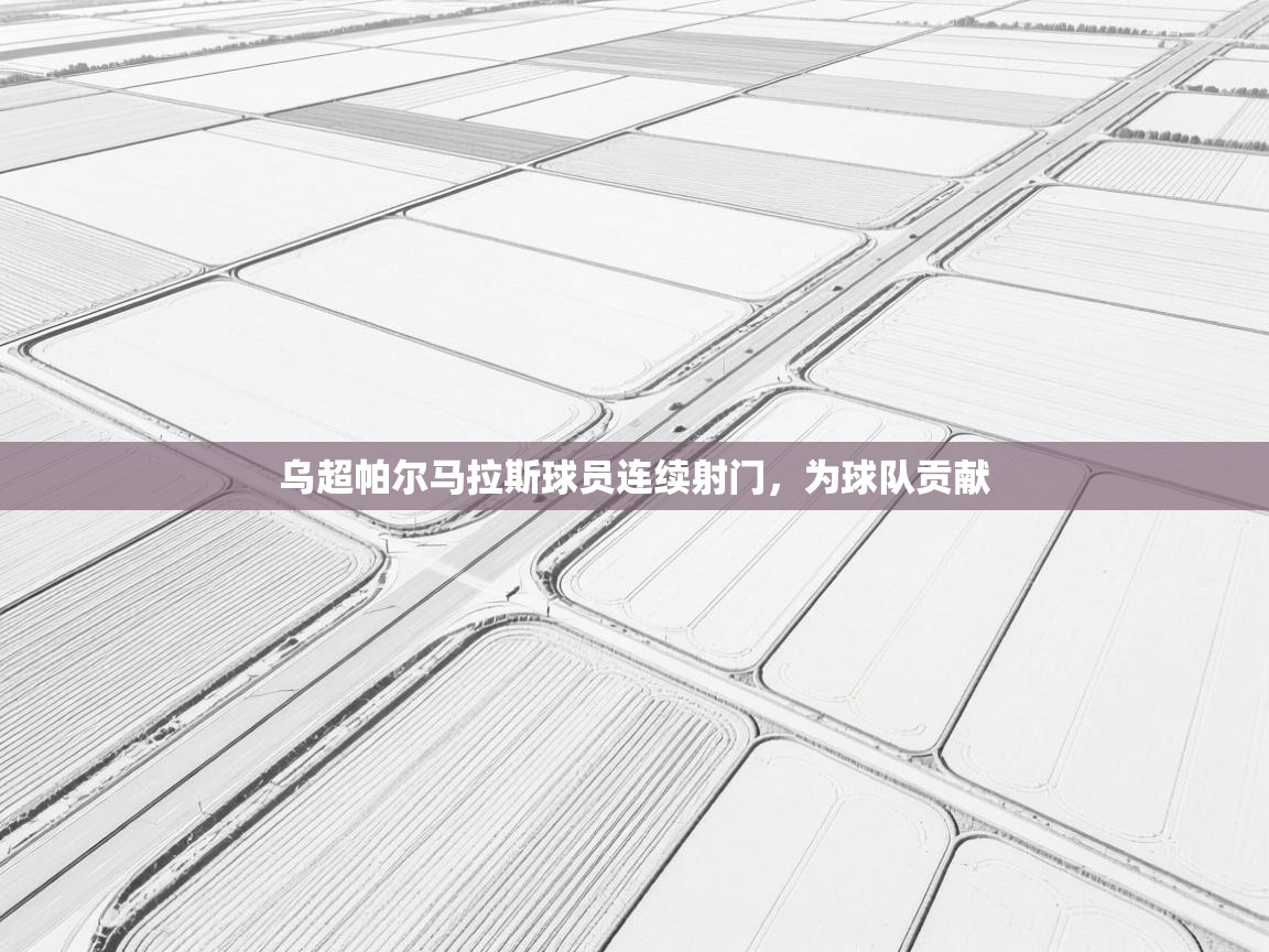 开云体育-乌超帕尔马拉斯球员连续射门，为球队贡献  第1张