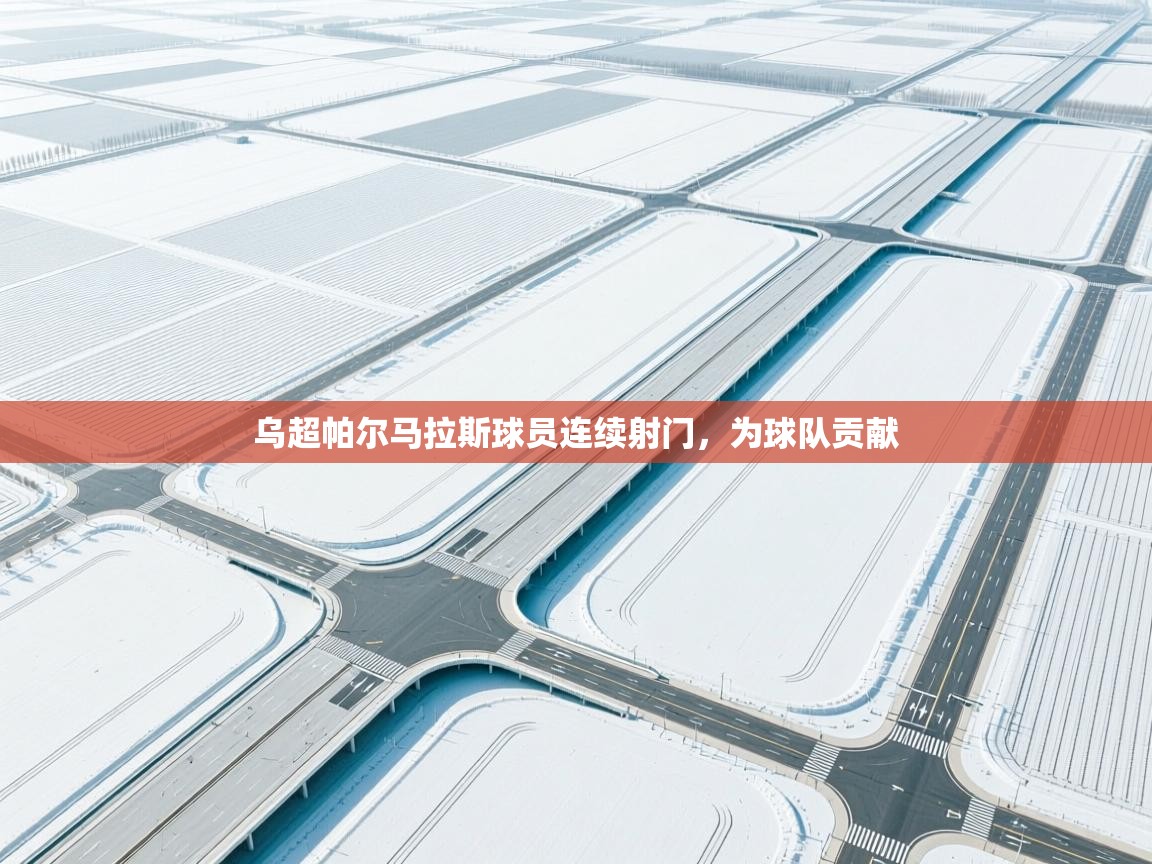 开云体育-乌超帕尔马拉斯球员连续射门，为球队贡献  第3张