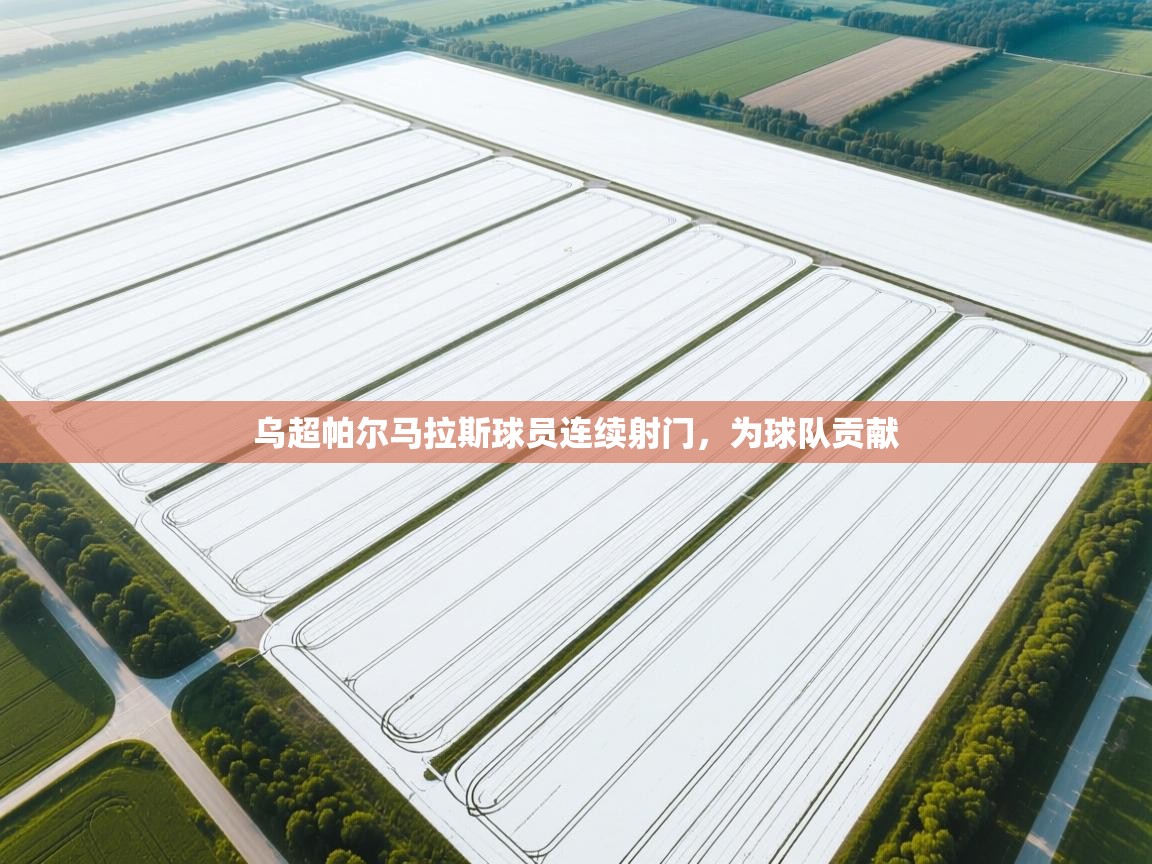 开云体育-乌超帕尔马拉斯球员连续射门，为球队贡献  第4张