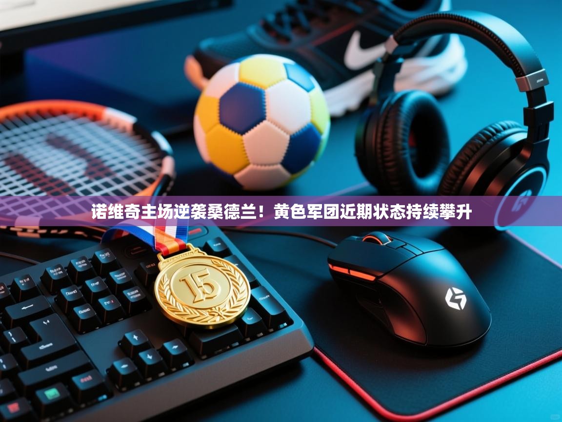 开云体育在线-诺维奇主场逆袭桑德兰!黄色军团近期状态持续攀升 第1张