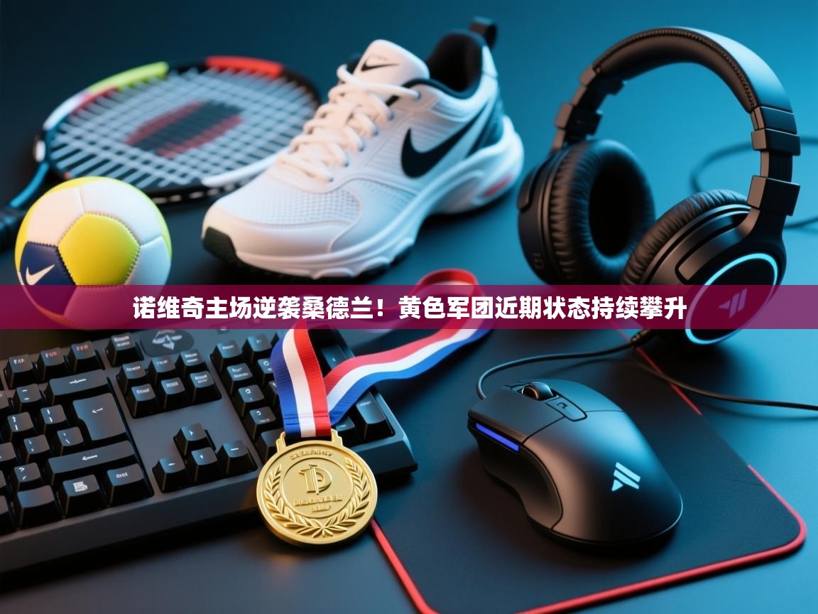 开云体育在线-诺维奇主场逆袭桑德兰!黄色军团近期状态持续攀升 第2张